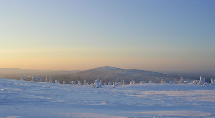 Homeland of the Cloudberry Jam