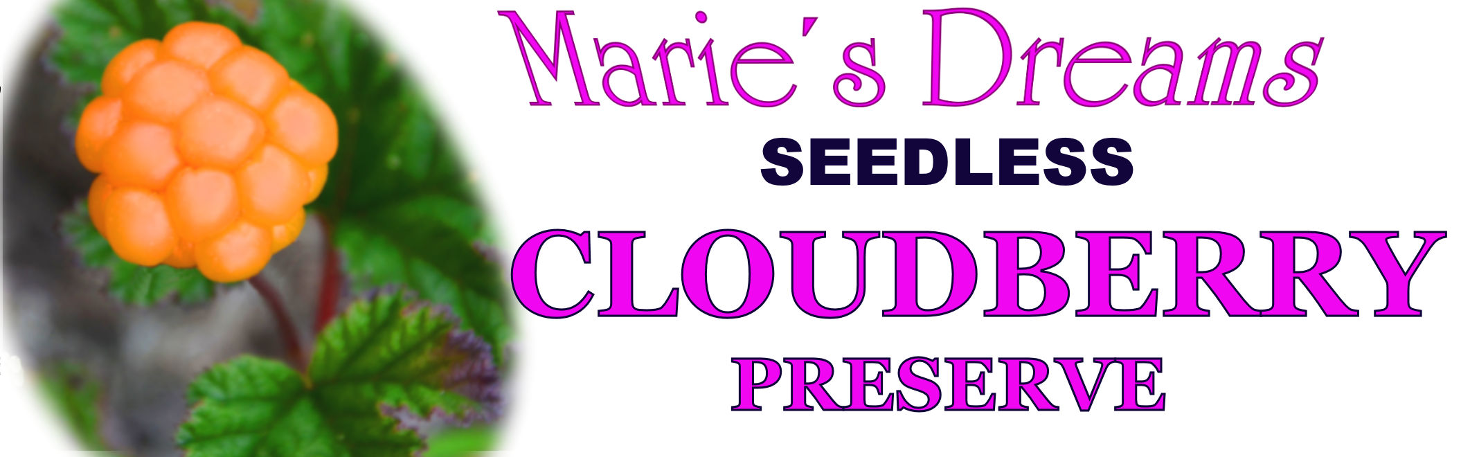 High Quality Seedless Cloudberry Preserve Marie´s Dreams Gourmet Delicatessen Cloudberries